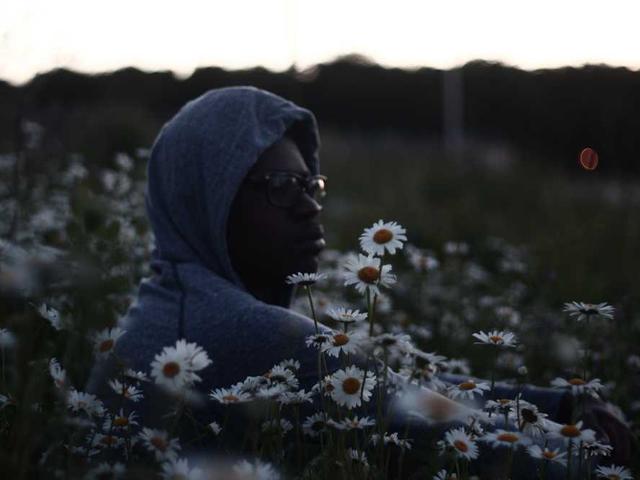 Husqvarna 365 X-TORQ