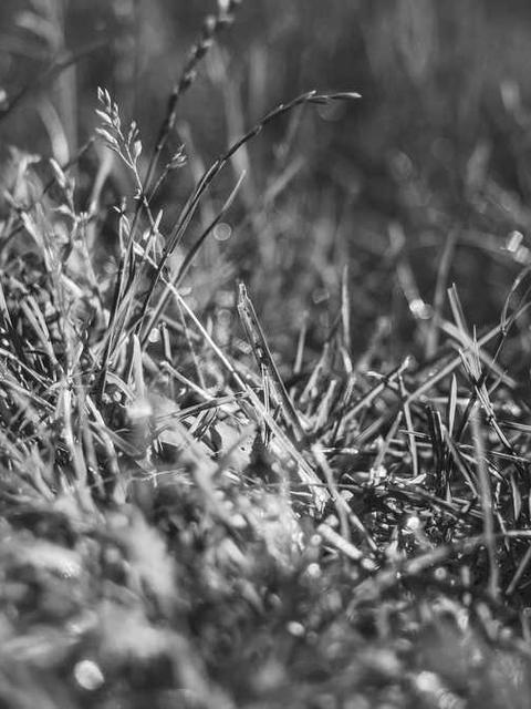 AMD Ryzen 5 3400G 4-Core 3.7GHz AM4 Box